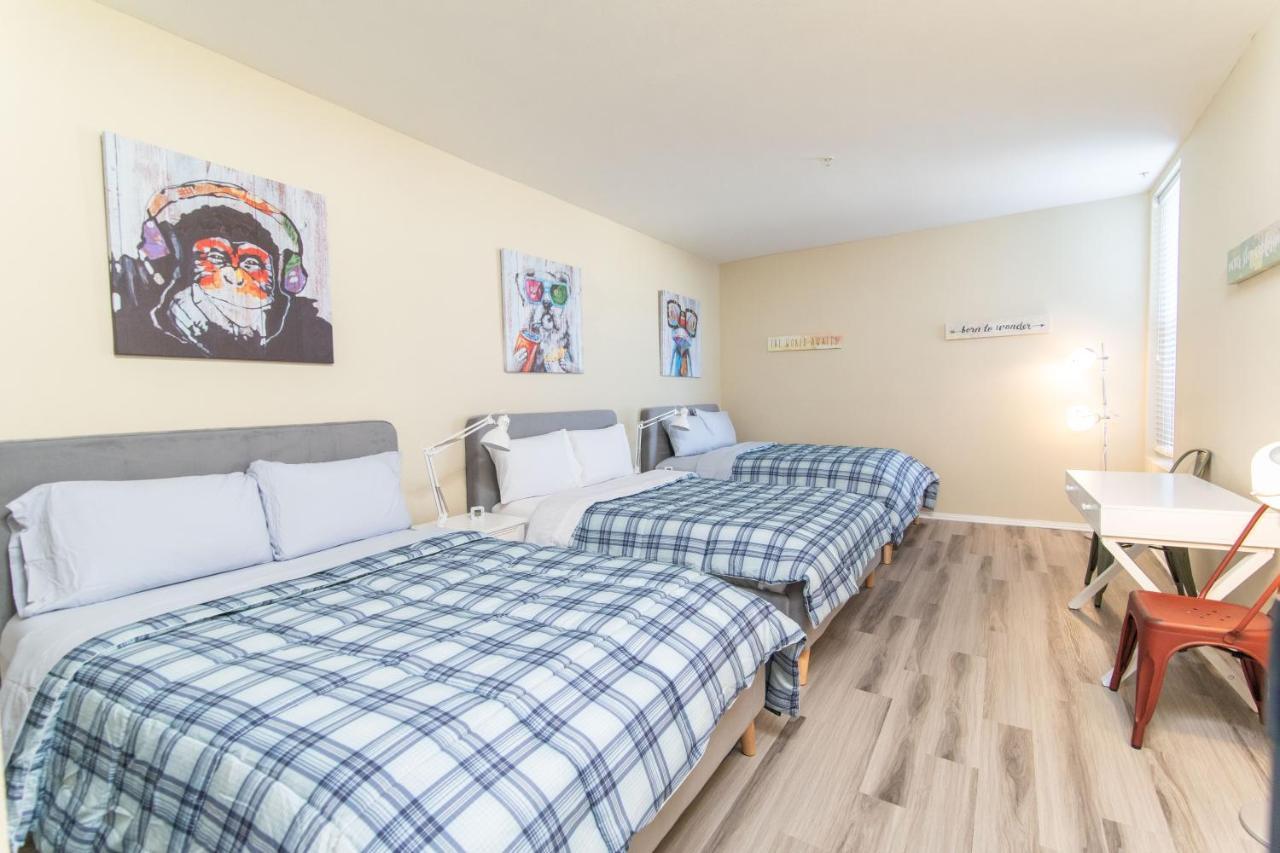 Oak Management Mdr Appartement